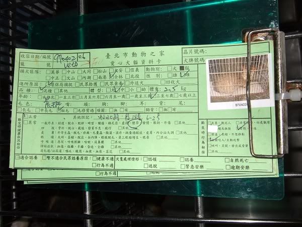 圖檔