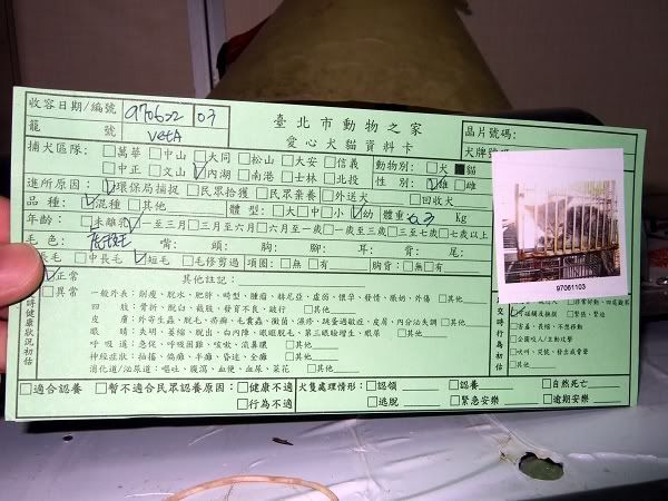 圖檔