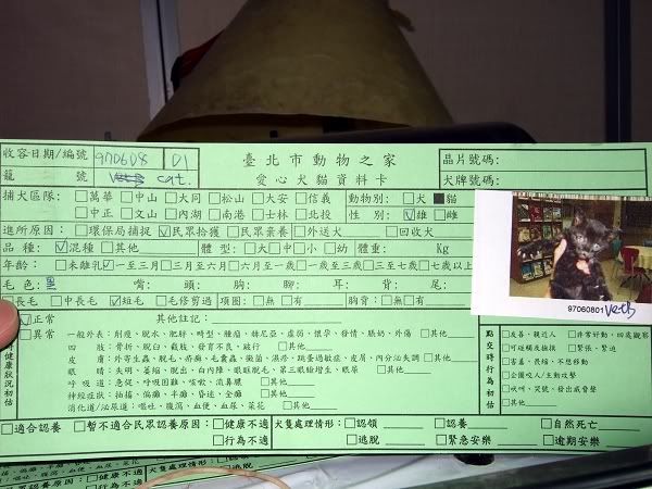 圖檔