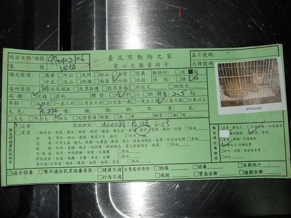 圖檔
