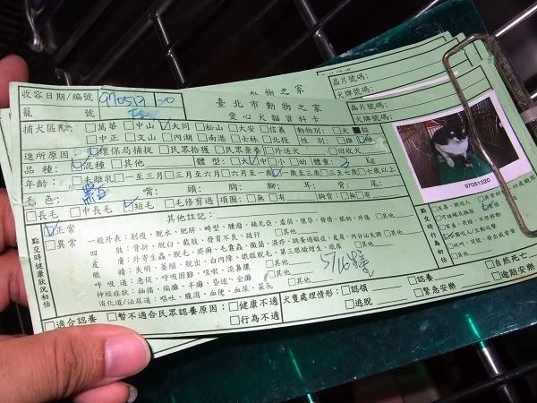 圖檔