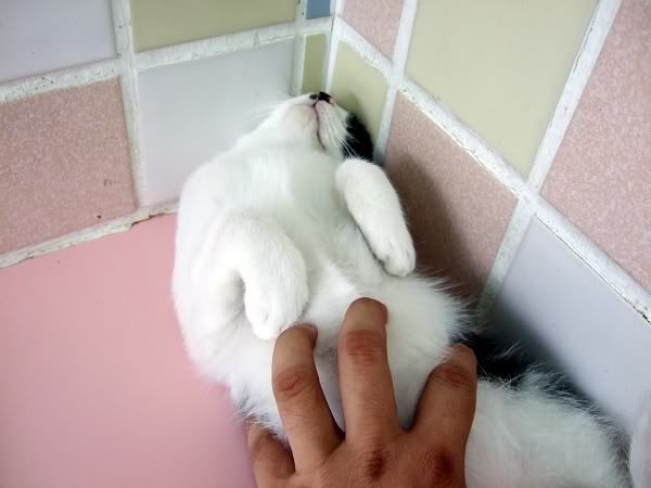 圖檔
