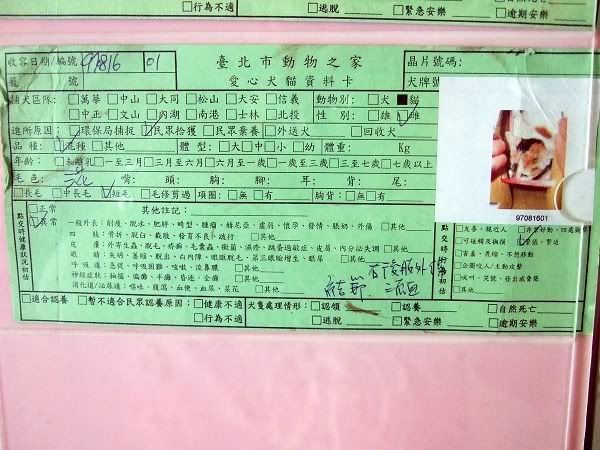 圖檔