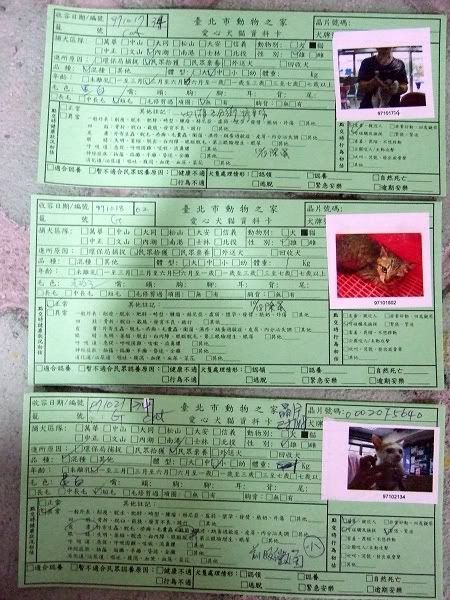 圖檔