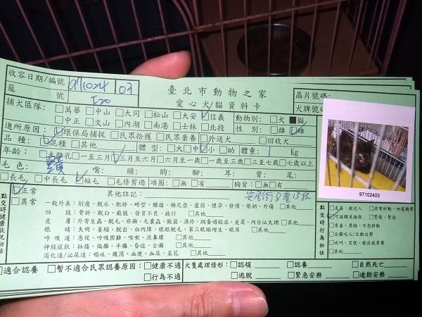 圖檔