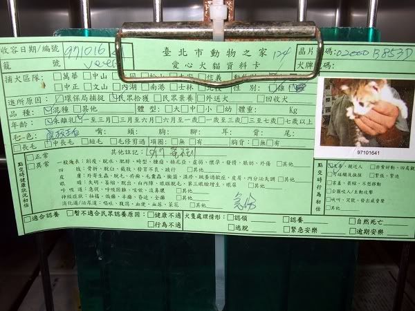 圖檔
