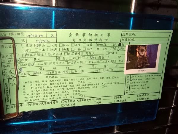 圖檔