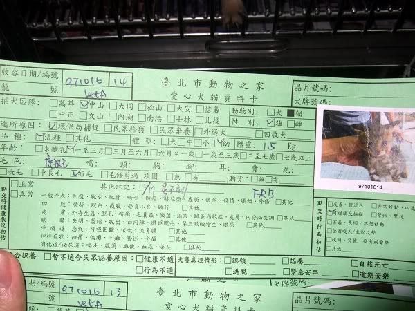 圖檔