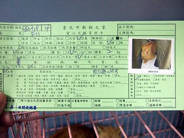 圖檔