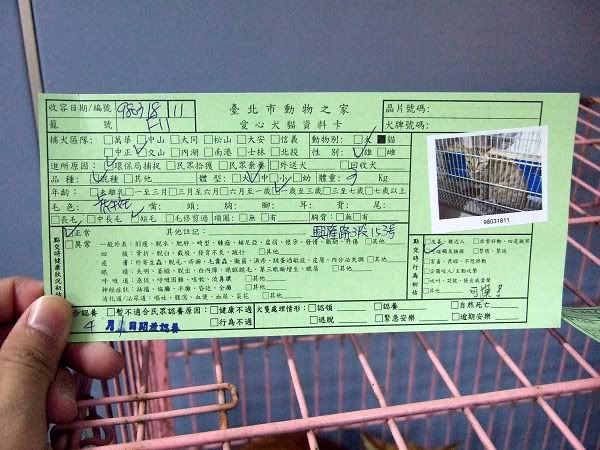 圖檔