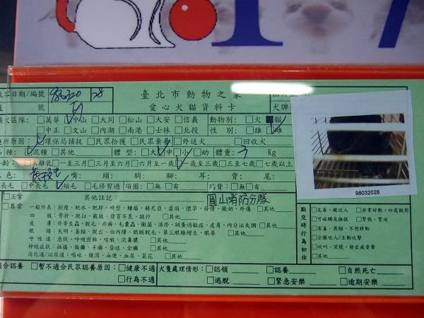 圖檔