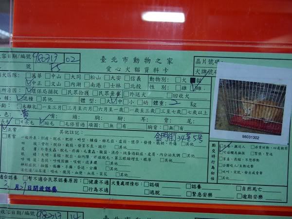 圖檔