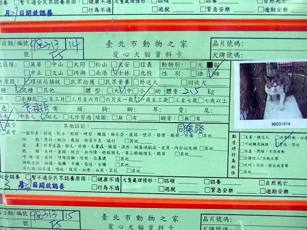 圖檔