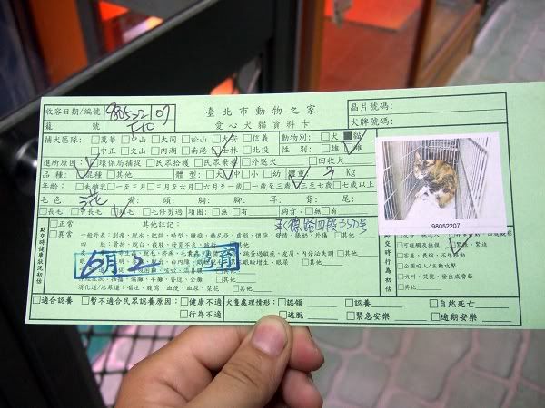 圖檔