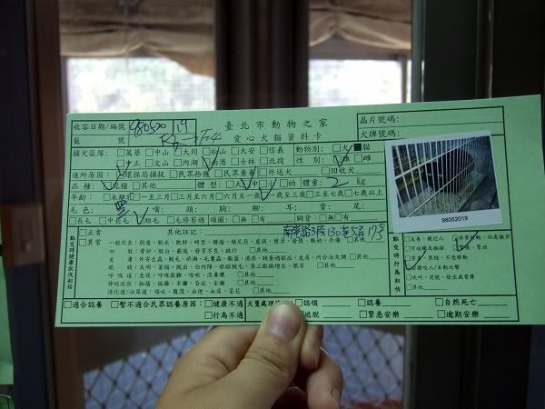 圖檔
