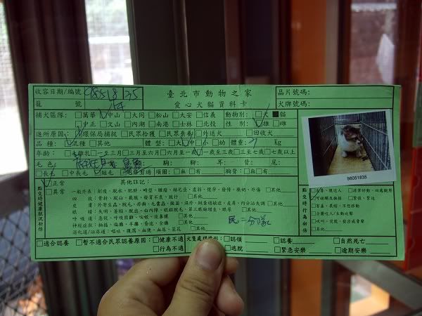 圖檔