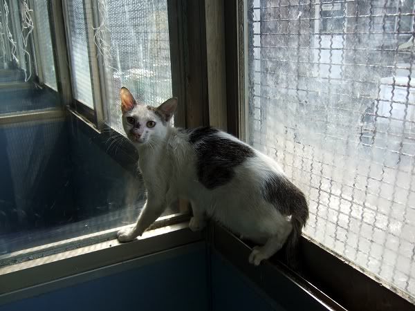 圖檔