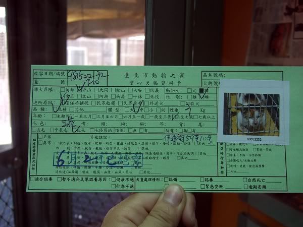 圖檔