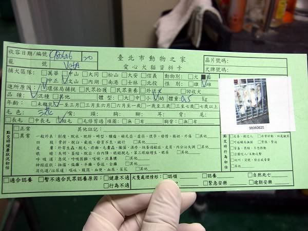 圖檔