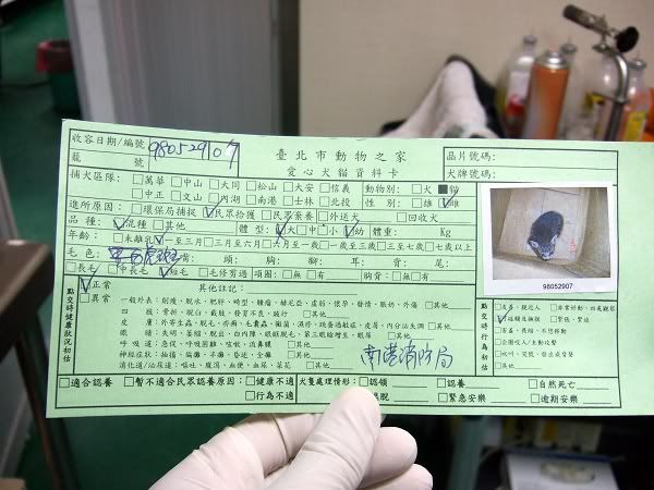 圖檔