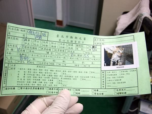 圖檔