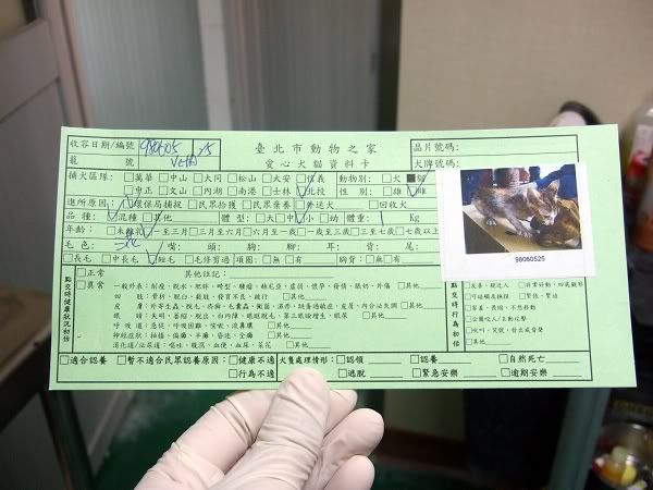 圖檔