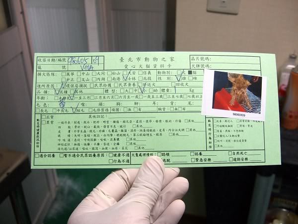 圖檔
