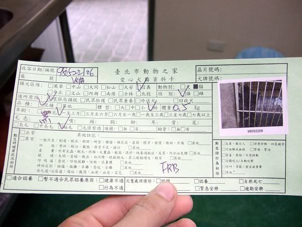 圖檔