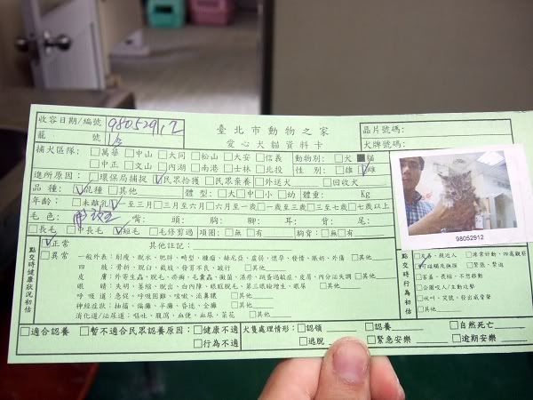 圖檔