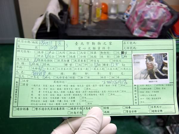 圖檔
