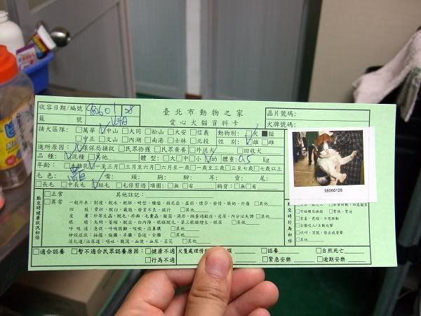 圖檔