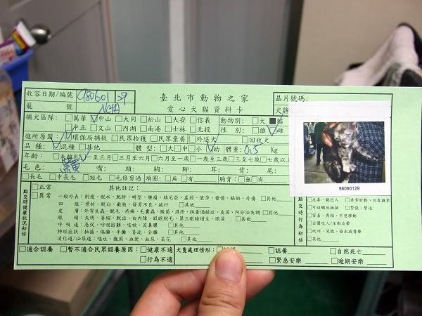 圖檔