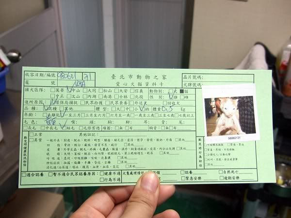 圖檔