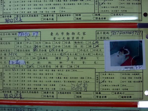 圖檔