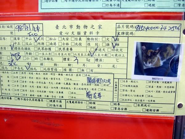 圖檔