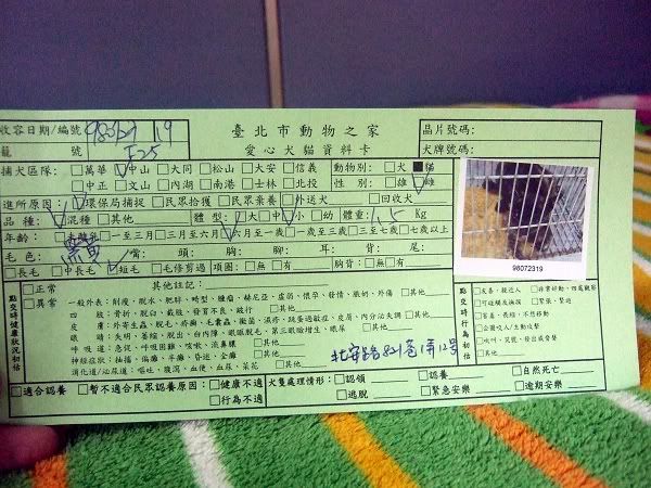 圖檔