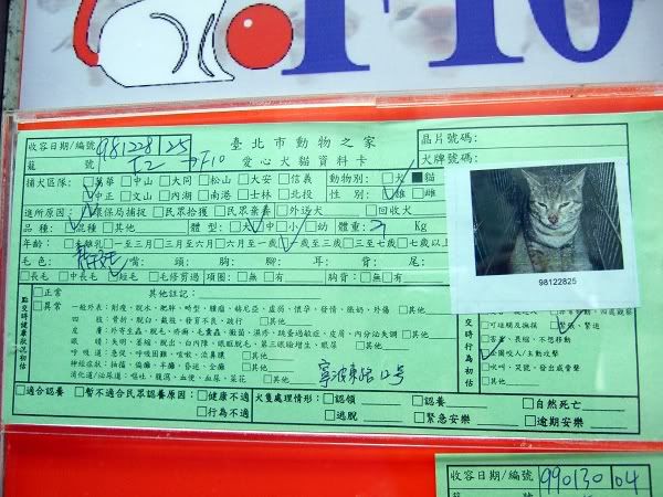 圖檔