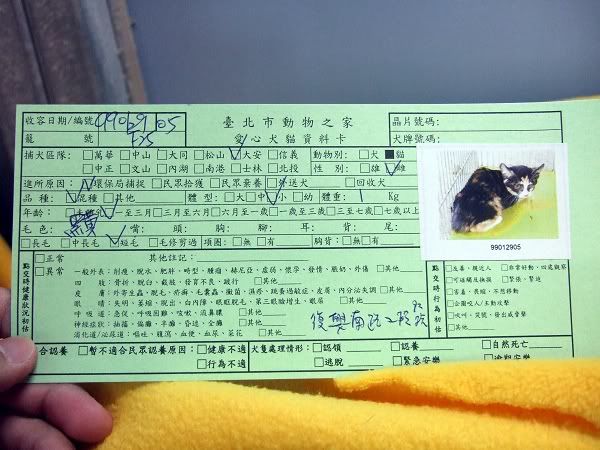 圖檔