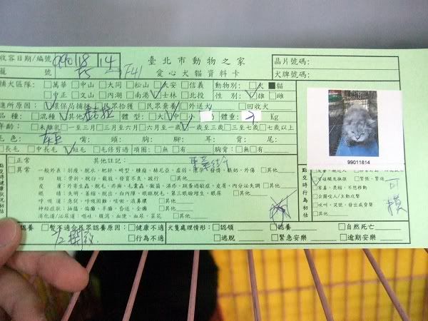 圖檔