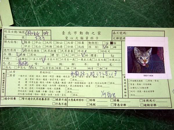 圖檔