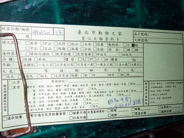 圖檔