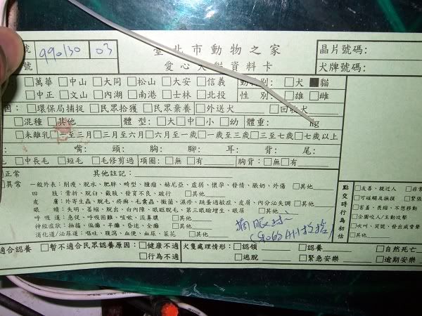 圖檔