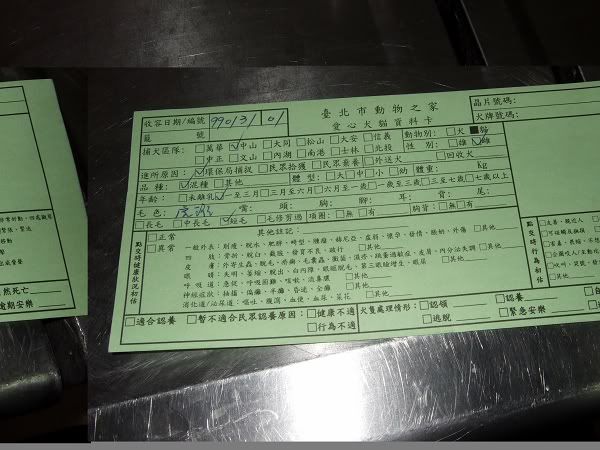 圖檔
