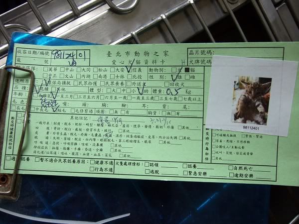 圖檔