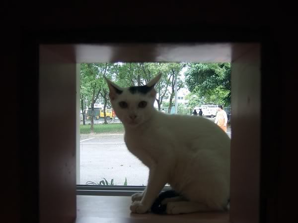 圖檔