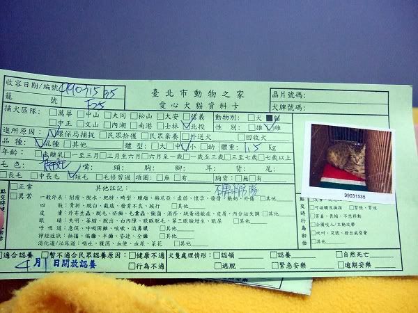 圖檔