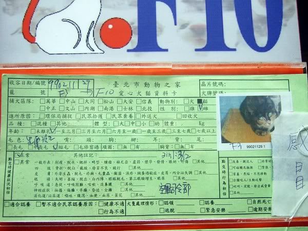 圖檔