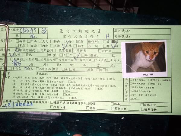 圖檔