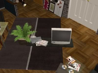 snapshot_00000001_1440ff88.jpg