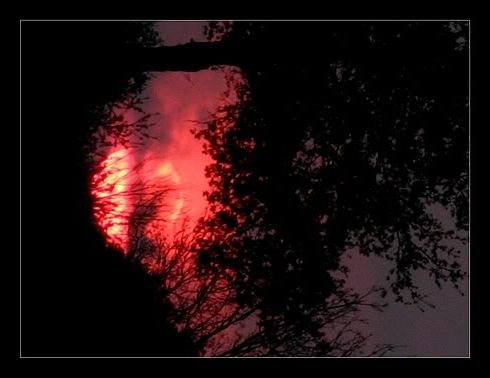 http://i170.photobucket.com/albums/u277/Niea792/sun-in-fire.jpg